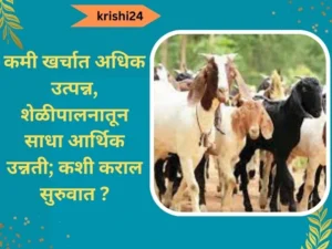 कमी खर्चात अधिक उत्पन्न शेळीपालनातून साधा आर्थिक उन्नती कशी कराल सुरुवात