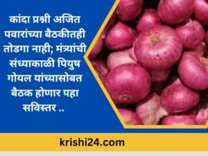 कांदा प्रश्नी अजित पवारांच्या बैठकीतही तोडगा नाही; ..