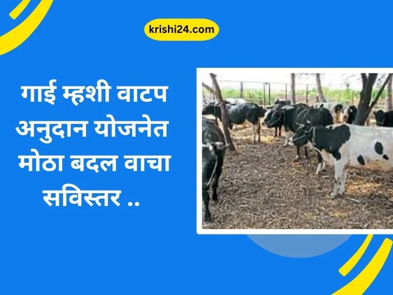 गाई म्हशी वाटप अनुदान योजनेत मोठा बदल वाचा सविस्तर ..