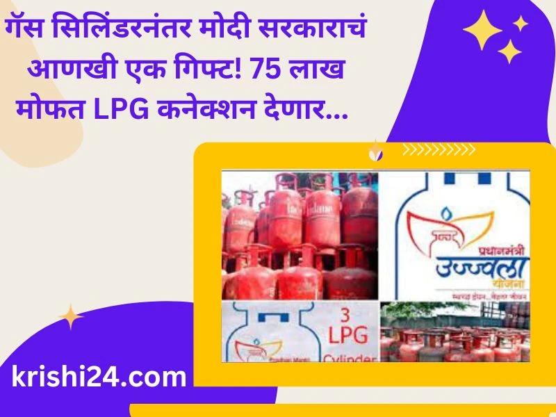 गॅस सिलिंडरनंतर मोदी सरकाराचं आणखी एक गिफ्ट! 75 लाख मोफत LPG कनेक्शन देणार...