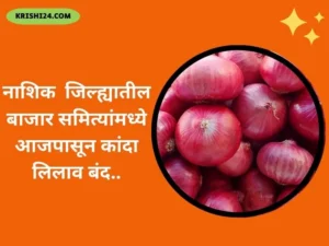 नाशिक जिल्ह्यातील बाजार समित्यांमध्ये आजपासून कांदा लिलाव बंद