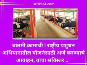 बातमी कामाची ! राष्ट्रीय पशुधन अभियानातील योजनेसाठी अर्ज करण्याचे आवाहन, वाचा सविस्तर ..