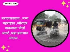 मराठवाड्यात , मध्य महराष्ट्रात ,जोरदार पावसाचा 'येलो अलर्ट पहा हवामान अंदाज ..