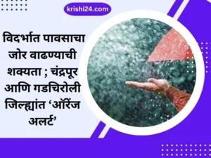 विदर्भात पावसाचा जोर वाढण्याची शक्यता ; चंद्रपूर आणि गडचिरोली जिल्ह्यांत ‘ऑरेंज अलर्ट’