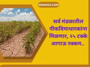 सर्व मंडळातील पीकविमाधारकांना मिळणार, २५ टक्के आगाऊ रक्कम.. सर्व मंडळातील पीकविमाधारकांना मिळणार, २५ टक्के आगाऊ रक्कम..