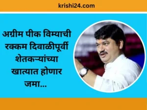 अग्रीम पीक विम्याची रक्कम दिवाळीपूर्वी शेतकऱ्यांच्या खात्यात होणार जमा… (1)