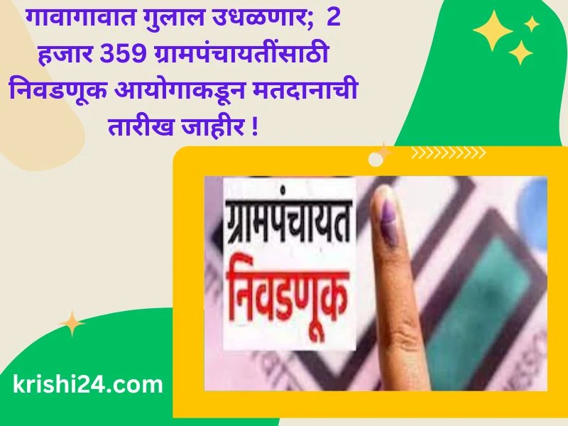 गावागावात गुलाल उधळणार; 2 हजार 359 ग्रामपंचायतींसाठी निवडणूक आयोगाकडून मतदानाची तारीख जाहीर !