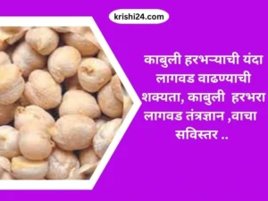 पुढील 3 दिवस पावसाचे, प्रचंड उकाड्यानंतर देशातील हवामानात मोठे बदल