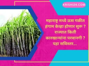 महाराष्ट्र मध्ये ऊस गळीत हंगाम ...