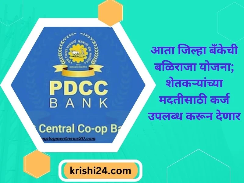 आता जिल्हा बँकेची बळिराजा योजना; शेतकऱ्यांच्या मदतीसाठी कर्ज उपलब्ध करून देणार