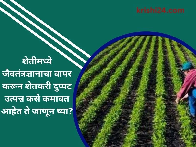 शेतीमध्ये जैवतंत्रज्ञानाचा वापर करून शेतकरी दुप्पट उत्पन्न कसे कमावत आहेत ते जाणून घ्या