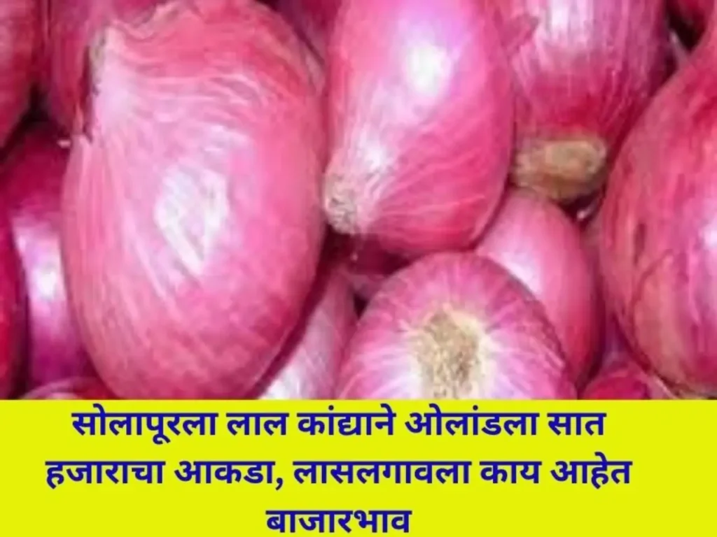 kanda bajarbhav