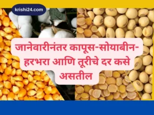 future-commodity-price