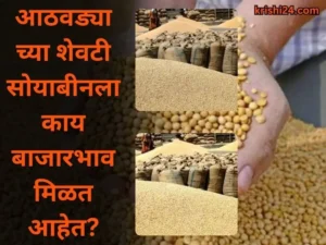 Soybean Market prices