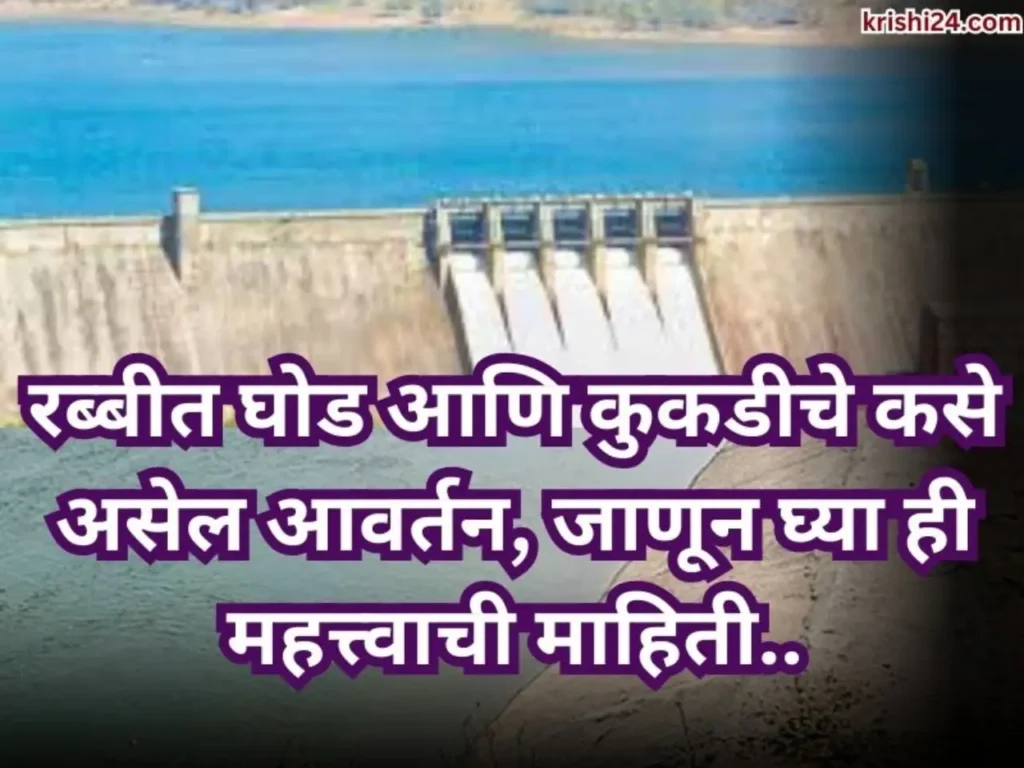 रब्बीत घोड आणि कुकडीचे कसे असेल आवर्तन, जाणून घ्या ही महत्त्वाची माहिती