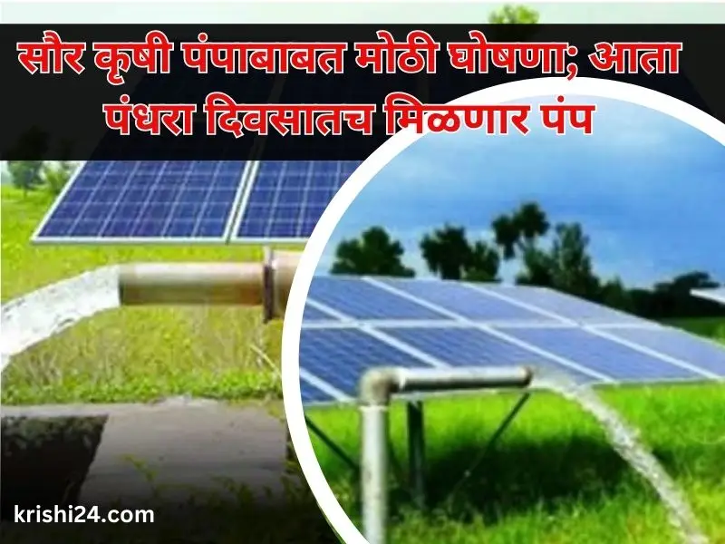 Solar Agriculture