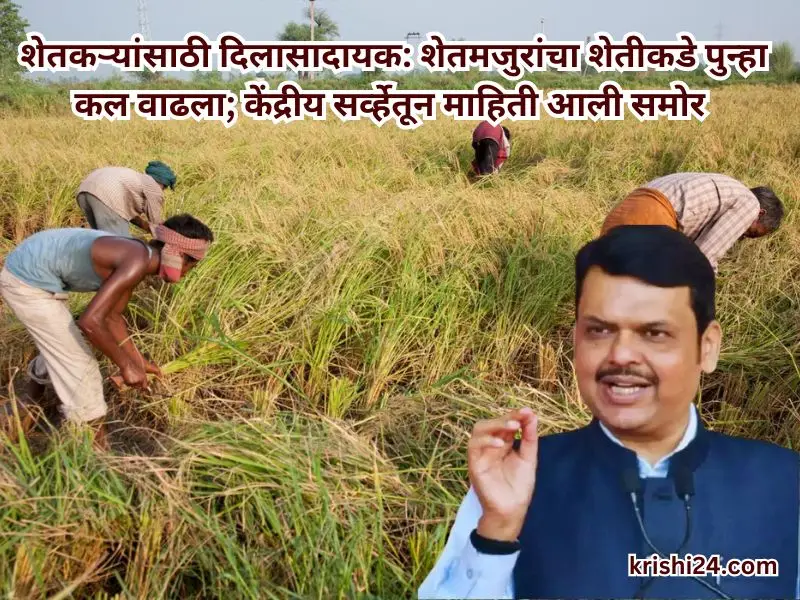 Agricultural laborers