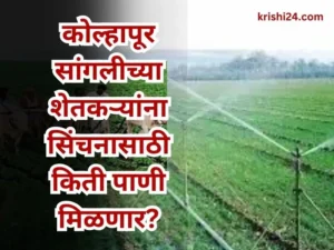 Kolhapur Sangli irrigation