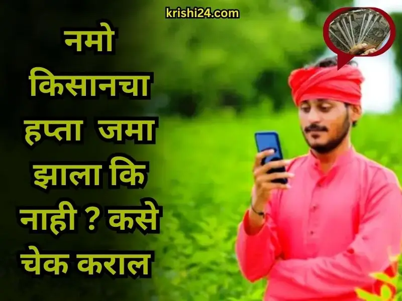 Namo Kisan installment