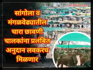 Sangola and Mangalvedhya