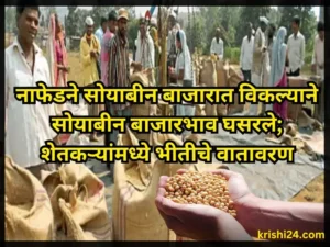 Soybean prices market