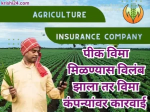 crop insurance