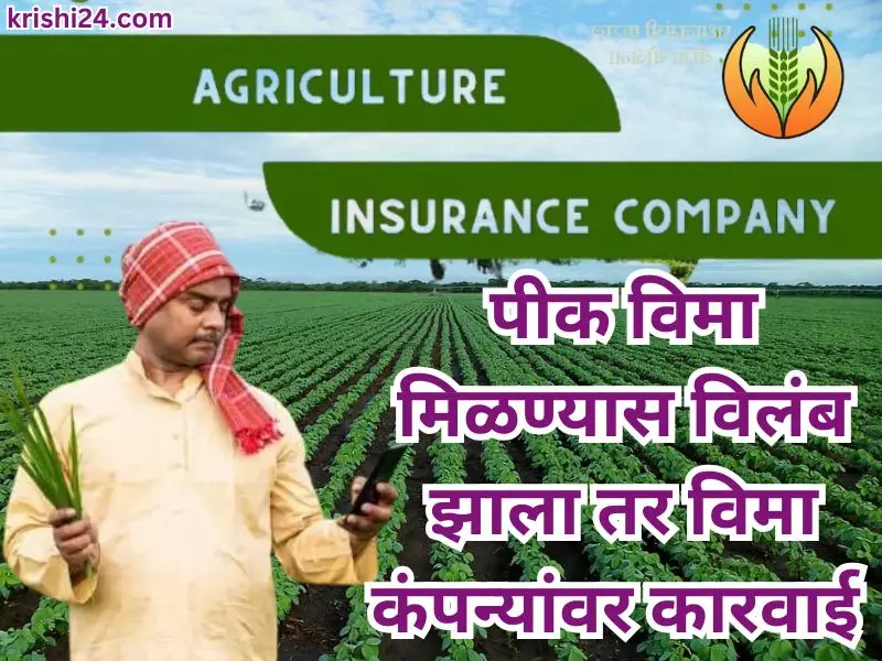 crop insurance