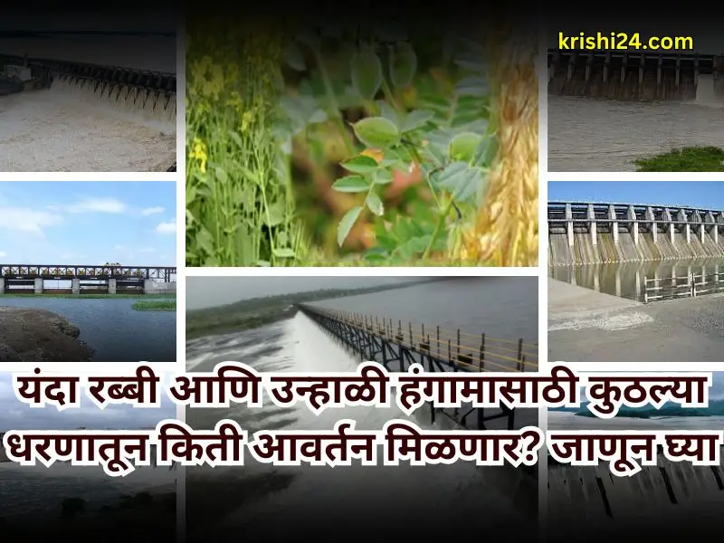 rabi and summer season