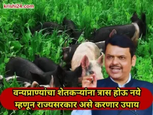 state government (1)