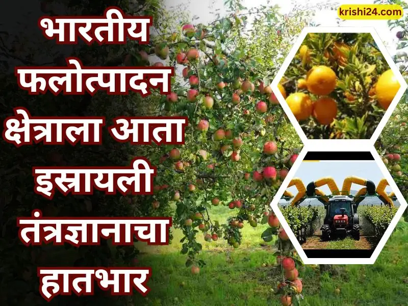 Indian horticulture