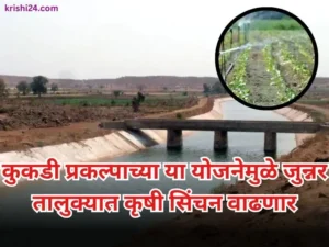 Junnar agricultural irrigation