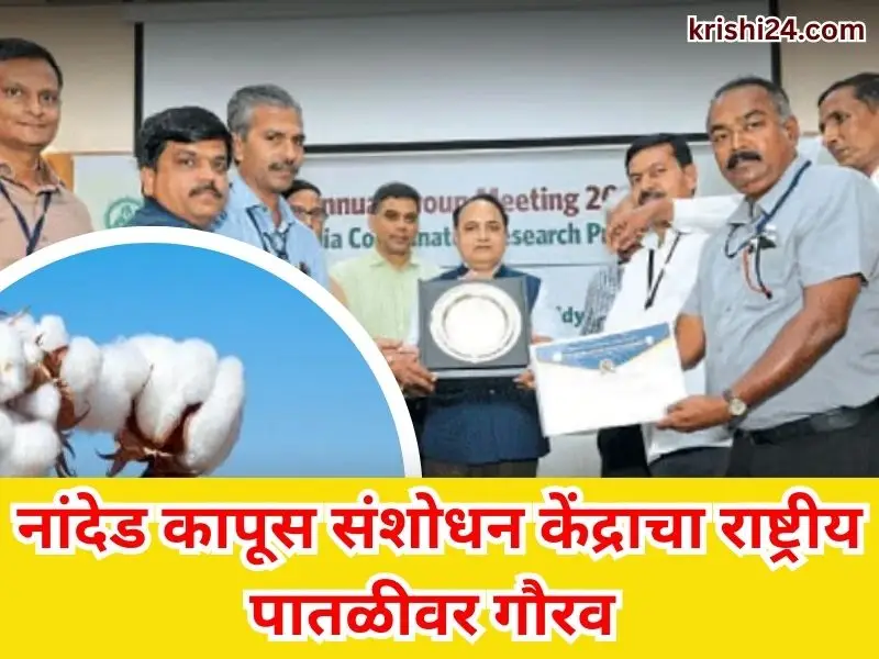 Nanded Cotton