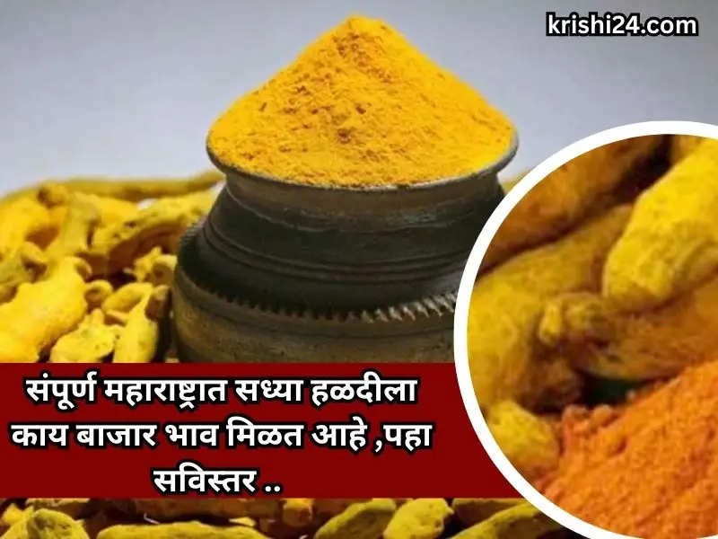 Todays Hald Bhajarbhav