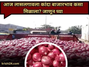 Todays Kanda bajarbhav