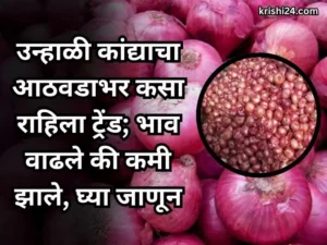 Unhali Kanda Bhazarbhav