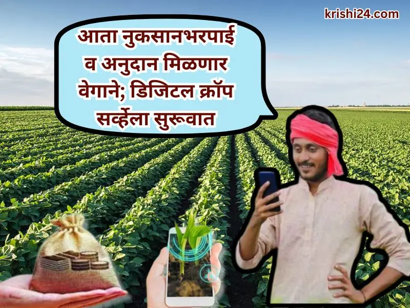 compensation and subsidy