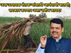 sugarcane farmers
