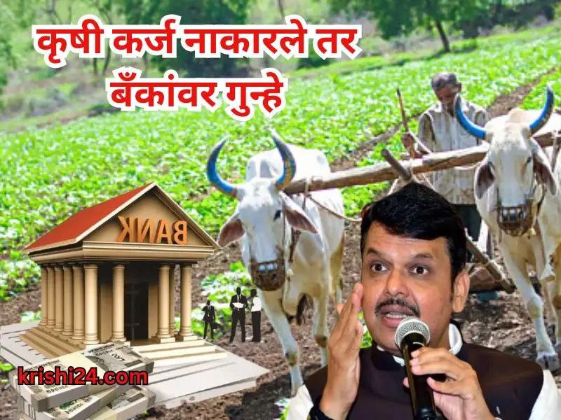 Agricultural loans (1)