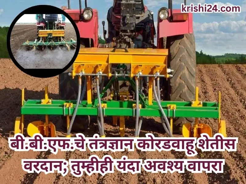 BBF's technology