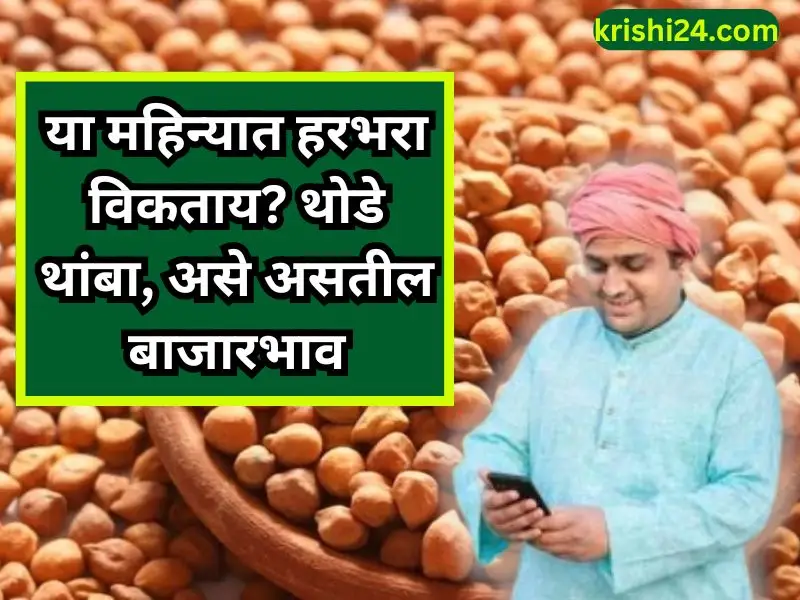 Gram market prices
