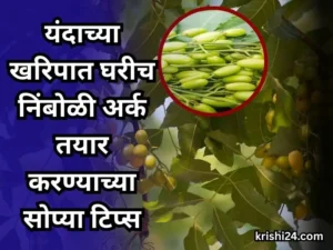 Kharif season