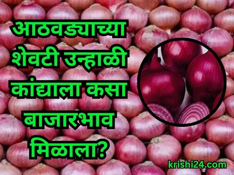 kanda bhazarbhav