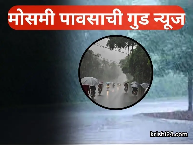 monsoon rains