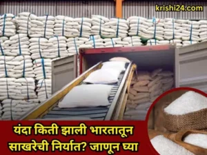 sugar export