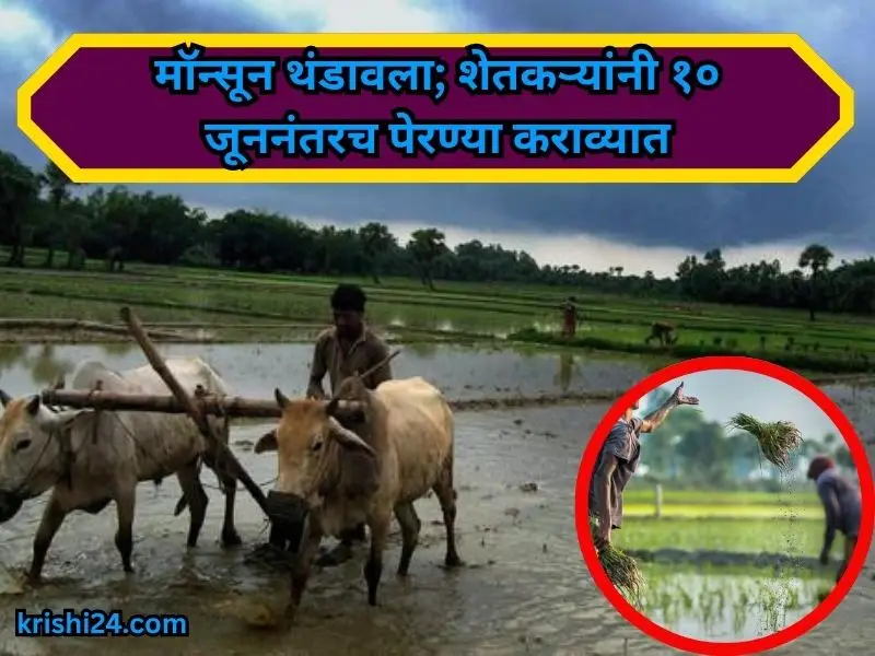farmers sow
