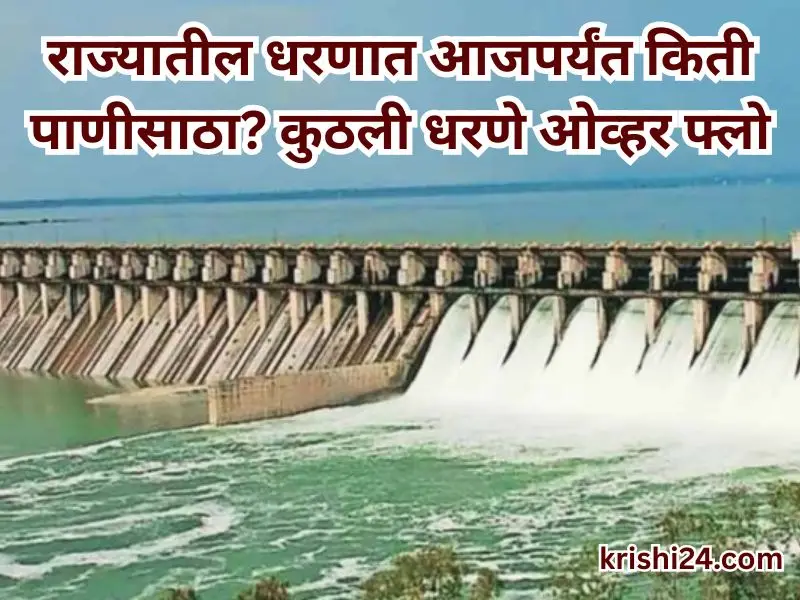 Dam water
