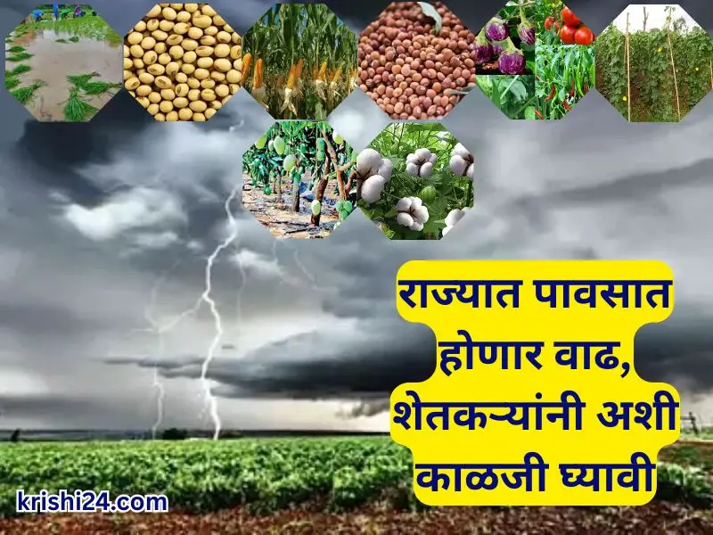 Maharashtra weather