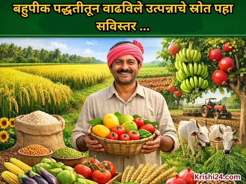 Increased multi-cropping