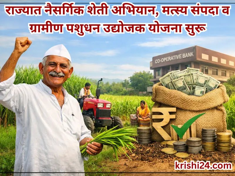 Natural Farming Mission