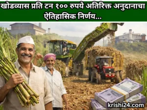 Sugarcane production